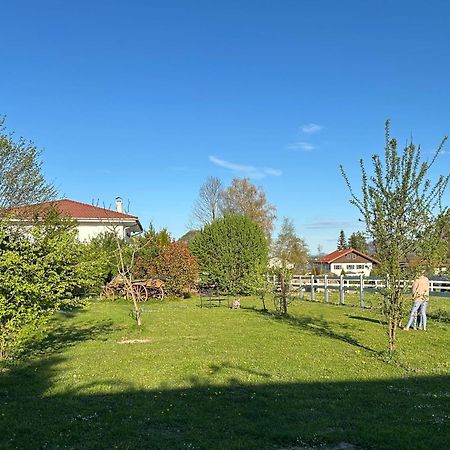 Black Horse Family Apartment - Barrierearm - Pfotenglueck - Familienzeit By Loewenherz Homes Stephanskirchen Eksteriør bilde